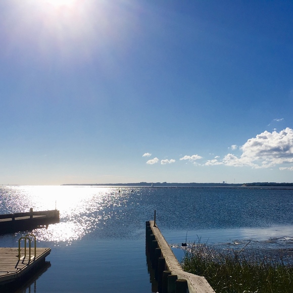 Meet your Posher, Sue - Picture 5 of 8